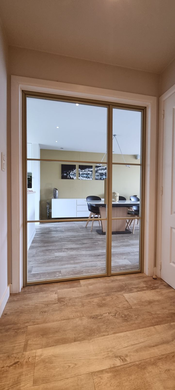 Dubbele stalen deur met bronskleurig frame